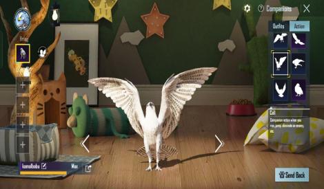 CHACK SS💝 {ACC LEVEL 77}