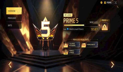 Prime level 5 account