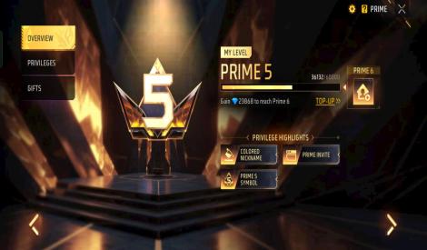 Prime level 5 account