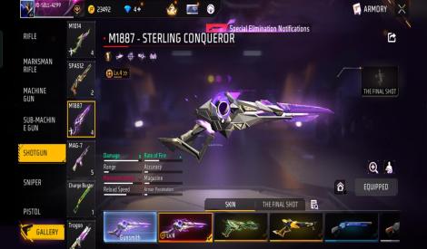 Prime level 5 account