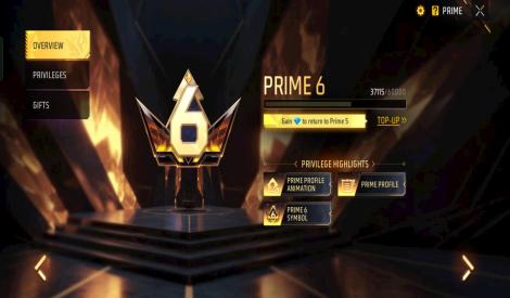 Prime level 5 account