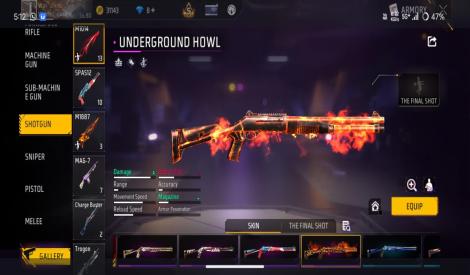 OG COLLECTION AND SKINS LVL80