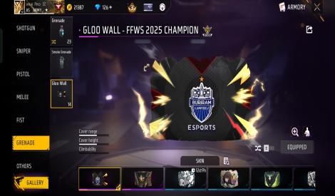 Free Fire Semi-Pro Account | Good Collection