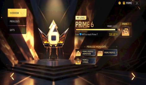 highlights rare skins, bundles, high-level passes (Elite Pass), lots of diamonds, and overall account