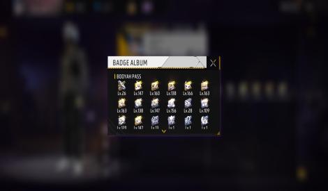 6 years old I'd with good collection