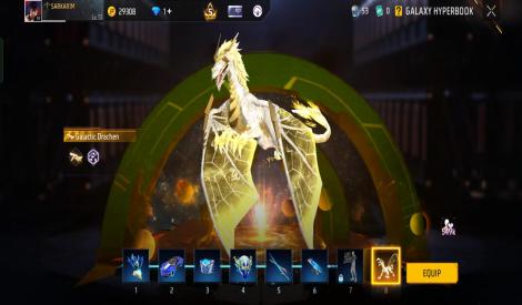 Prime level 5 account