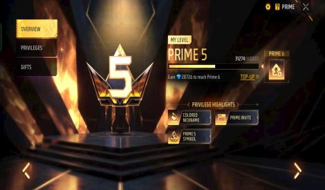 Prime level 5 account