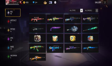 2 evo gun and  new bundle