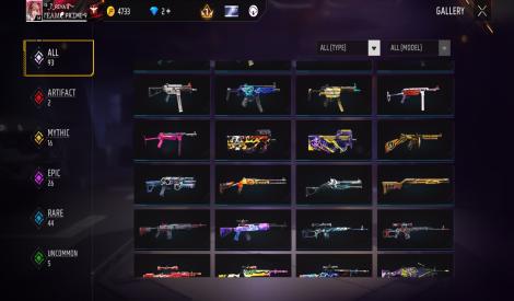 2 evo gun and  new bundle
