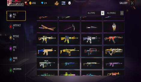 2 evo gun and  new bundle