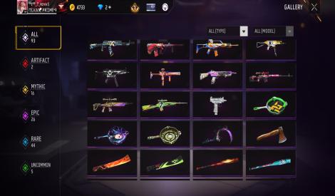 2 evo gun and  new bundle