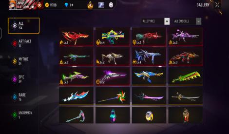 Level 60 and 10 evo gun