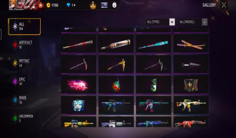 Level 60 and 10 evo gun