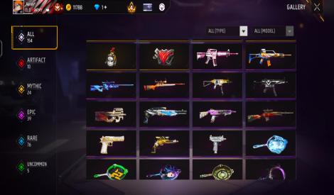 Level 60 and 10 evo gun