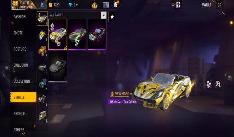 Level 58 and 3 Evo gun