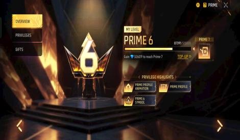 PRIME 6 LEVEL ACCOUNT