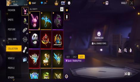 PRIME 6 LEVEL ACCOUNT