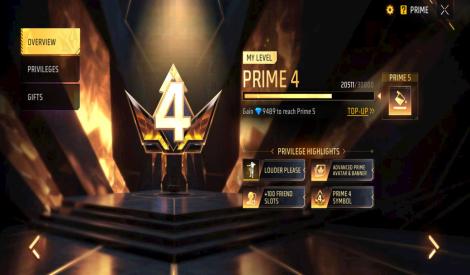Level prime 4