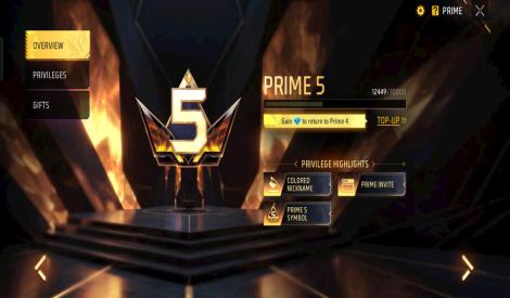 5 EVOGUN OR PRIME LEVEL 4