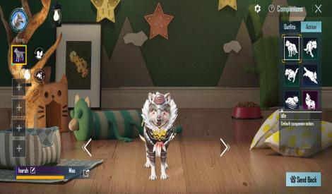 Best inventory bgmi account