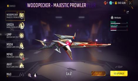 60 level with 55 days monthly membership